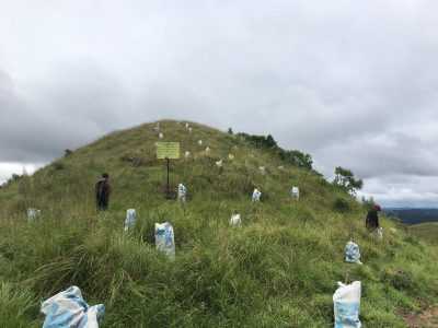 Conservation of forests in good conditions