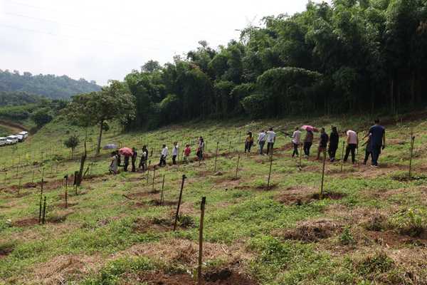 Forest Research