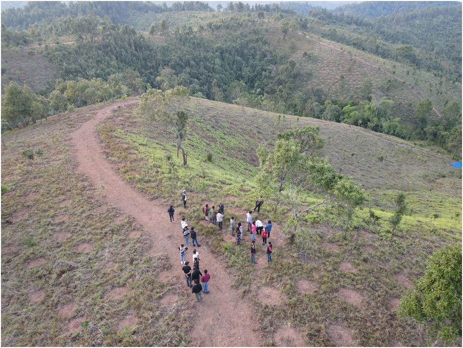 Image1 for A Green Revolution: The Success Story of Sylleibah Plantation Area